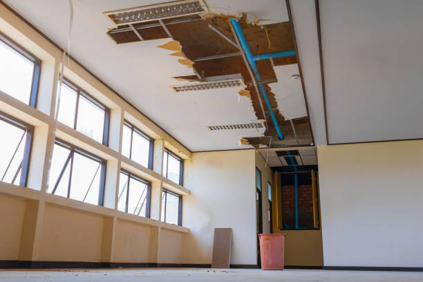 Best Carpet water damage restoration  in Batavia, NY