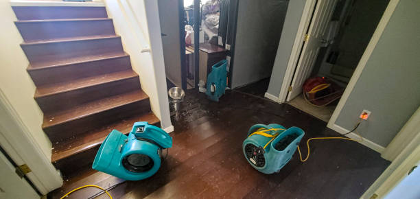 Best Water damage restoration process  in Batavia, NY