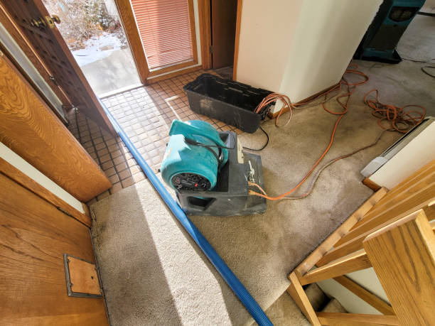 Best Emergency water damage restoration  in Batavia, NY