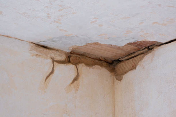Best 24-hour water damage restoration  in Batavia, NY