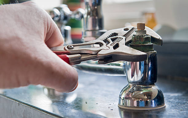 Best Mold removal after water damage  in Batavia, NY