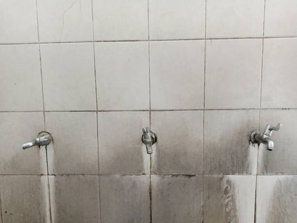 Best Commercial water damage restoration  in Batavia, NY
