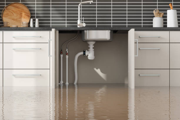 Best Basement water damage restoration  in Batavia, NY