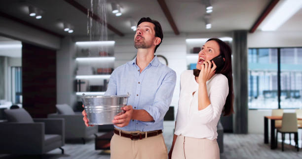 Best Water damage restoration near me  in Batavia, NY