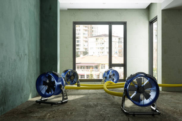Best Residential water damage restoration  in Batavia, NY